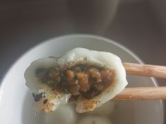 -海丝金凤(金鱼店)
