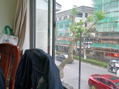 -椿不老