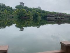 -张坝桂圆林公园