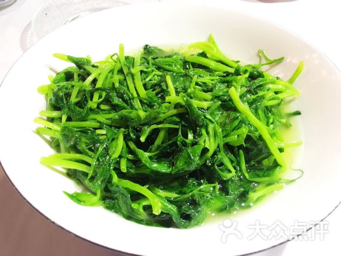 汉舍中国菜馆(虹桥南丰店)-酒香豆苗-菜-酒香豆苗图片-上海美食-大众