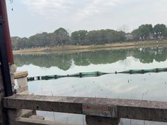 -湘湖大院(越王路店)