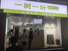 -一树一叶·福建茶档(石鼓路店)