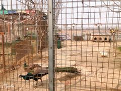 -河北村民俗体验园