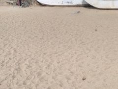 -南诏风情岛