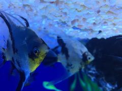 金石国际大酒店-南通金石国际大酒店