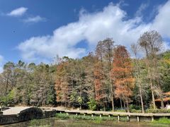 -深圳仙湖植物园