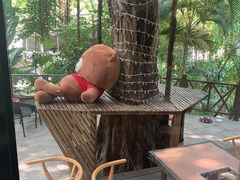 -樾餐厅泰式海鲜火锅(民歌湖店)
