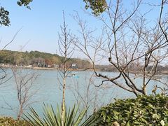 -昆山城市生态森林公园