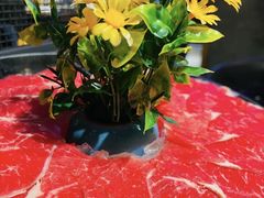 -快乐小羊·内蒙牛羊肉火锅(流花中心店)