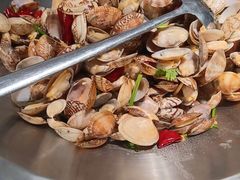 红岛花蛤-金春禧(世茂国际广场店)