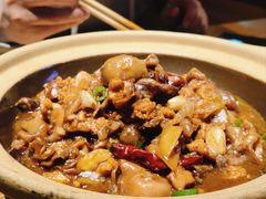 -鸽子窝(黄村店)