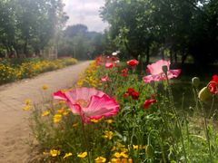 -国家植物园南园