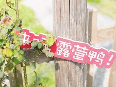 -前小桔亲子创意农场·草莓采摘·露营烧烤