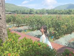 -亚龙湾国际玫瑰谷