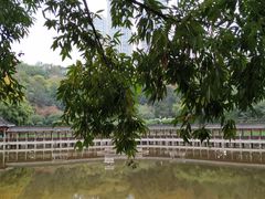 -龙头寺公园