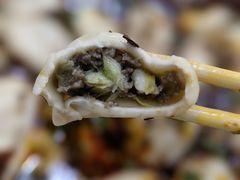 -回坊马二饺子馆