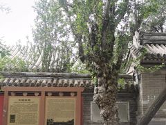 -潭柘寺景区