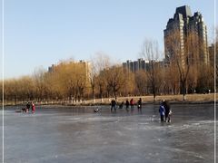 -东坝千亩湖公园