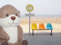 -日照海滨国家森林公园