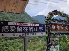 -醉山野仙人尖农家乐