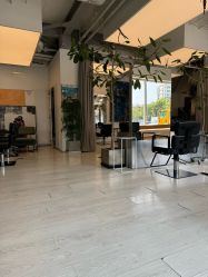 -Hair  Gallery