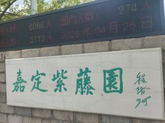 -嘉定紫藤园