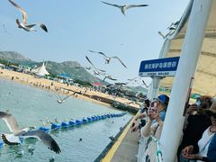 -海驴岛(荣成市)