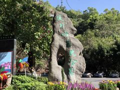 -板樟山森林公园