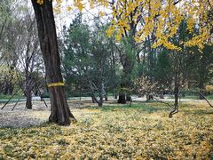 -玲珑塔公园