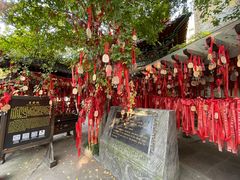 -杭州乐园