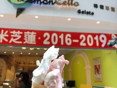 -柠檬车露(卖草地店)