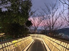 -福道