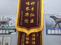 -瑞派名望24h动物医院异宠专科·猫专科·骨科·重症监护分院
