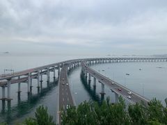 -星海湾跨海大桥