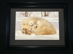 -罗红摄影艺术馆