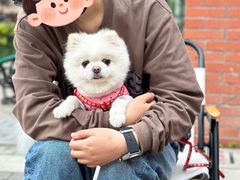 -Bamboo Today Cafe(国创园店)