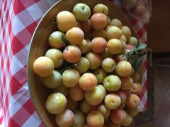 意大利农场-意大利农场度假村