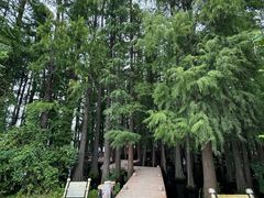 -东湖落雁景区