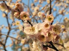 -桃花涧
