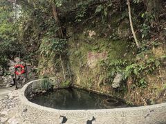 -十八棵（老龙井）御茶园(老龙井店)