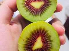 -菜园坝水果市场
