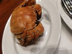 大闸蟹-广州富力君悦大酒店·凯菲厅