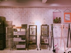 -RGF(巨鹿路店)