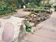 -成都市活水公园