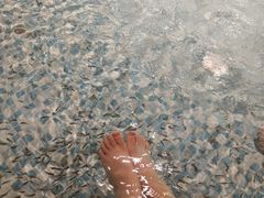 -涨巢·潮玩水疗局