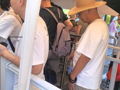 -陶辛水韵