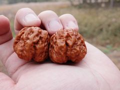 -李连贵熏肉大饼(天通苑店)