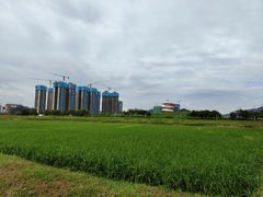 -光明小镇欢乐田园