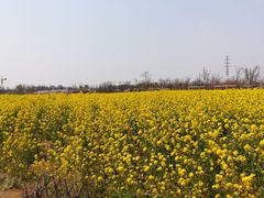 -西海岸生态观光园