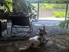 -J Create城市露营咖啡·简餐·宠物(上海动物园店)